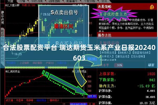 合法股票配资平台 瑞达期货玉米系产业日报20240603