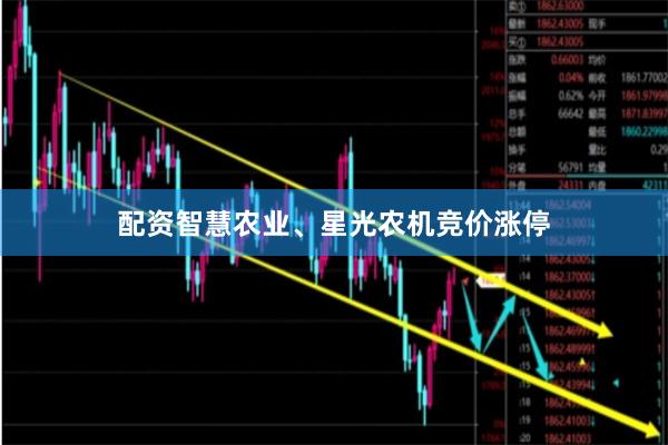 配资智慧农业、星光农机竞价涨停