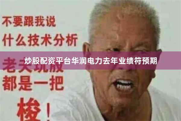 炒股配资平台华润电力去年业绩符预期